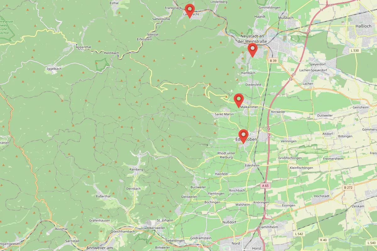 Fahrschulen in Edenkoben (Rheinland-Pfalz)
